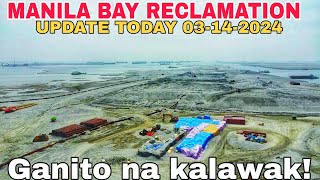 MANILA BAY UPDATE PASAY CITY RECLAMATION PROJECT [upl. by Ayekram950]