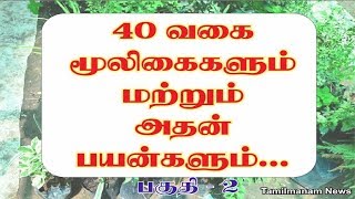 Herbs and their uses in tamil  40 herbal plants and their uses Part 2 [upl. by Gerdeen]