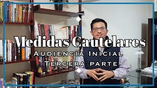 Medidas Cautelares y Plazo de Investigación [upl. by Matt]