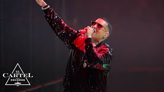 Daddy Yankee  2K20 Live Parte 2 [upl. by Paulette]