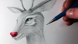 How to Draw Rudolph [upl. by Templas]