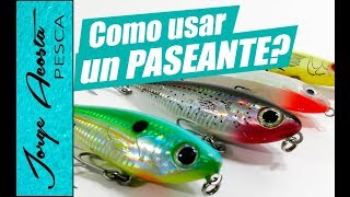 CUANDO DONDE y COMO usar un PASEANTE  Consejos de PESCA [upl. by Jemima150]