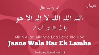 Jaane Wala Har Ek Lamha ┇ Allah Allah Allahoo ┇ Jameel Hansrot [upl. by Blader]