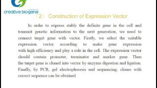 Gene overexpression protocol Creative Biogene [upl. by Lorimer]