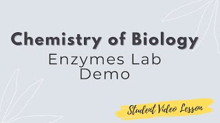 Catalase Enzyme Lab Demo TemppH [upl. by Urbain]