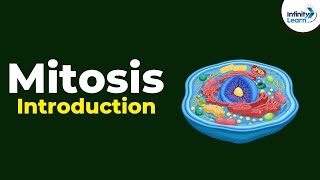 Introduction to Mitosis  Dont Memorise [upl. by Tim726]