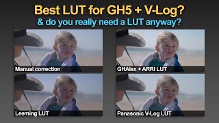 Best LUT for VLog GHAlex vs Leeming vs Panasonic vs Manual CC [upl. by Mae342]