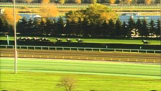 1996 Breeders Cup Turf [upl. by Mohammed]