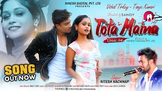 Tota Maina  Nitesh Kachhap  New Nagpuri Dance Video Song 2024 [upl. by Niret]