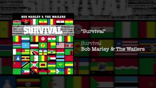 Survival 1979  Bob Marley amp The Wailers [upl. by Crellen]