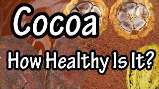 Cocoa  What is Cocoa processed with Alkali  Cocoa Beans And Cocoa Butter [upl. by Brittne]