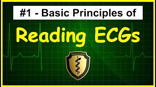 A Normal Regular Heart Beat and Electrocardiogram ECG or EKG [upl. by Ariajay103]