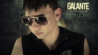 Galante  No Te Obligo Lyric Video [upl. by Arielle]