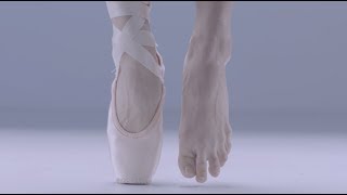 Ballet Anatomy Feet [upl. by Arlena181]