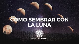 Como Sembrar Con LA LUNA 2024 cultivar con fases lunares calendario lunar [upl. by Analaf967]