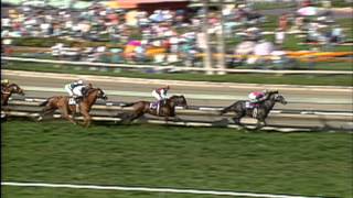 1993 Breeders Cup Turf [upl. by Ainwat]