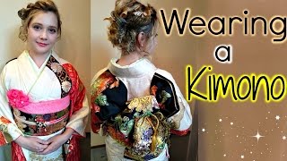 How to Wear a Kimono  Japanese Traditional Wear [upl. by Ainirtac813]