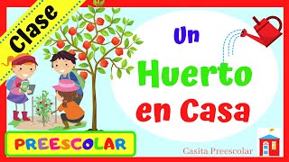 UN HUERTO EN CASA Aprendeencasa PREESCOLAR [upl. by Nagel376]