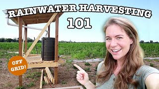 RAINWATER COLLECTION FOR BEGINNERS  16 Things To Know About Harvesting Rain Water BEFORE You Start [upl. by Thaxter]