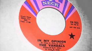 In My OpinionThe Vandals1969 [upl. by Yanehs326]