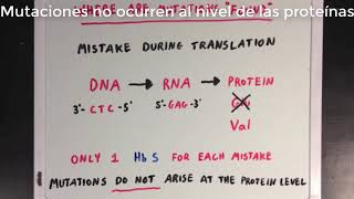 Introducción a la mutación genética  Khan Academy en Español [upl. by Alf718]