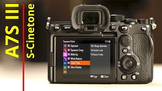 Cinetone settings for the Sony A7S III [upl. by Cliffes]