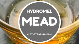 How to Make Mead  Hydromel Mead [upl. by Sladen]