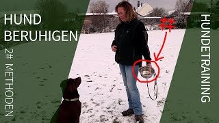 Hund beruhigen ► 2 effektive Methoden zur Hund Beruhigung ► Hund beruhigen [upl. by Tharp]