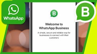 How to Use Whatsapp Business App [upl. by Web]