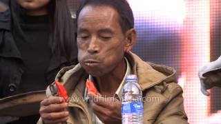 Look at this daring man eat hordes of King Chilly in Nagaland [upl. by Sedgewinn]