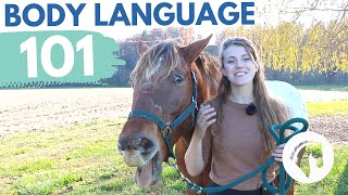 READING HORSE BODY LANGUAGE amp BEHAVIOR [upl. by Anaele]