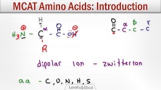 Amino Acids Intro to Structure Charge Classification and Reactions [upl. by Nomrac870]