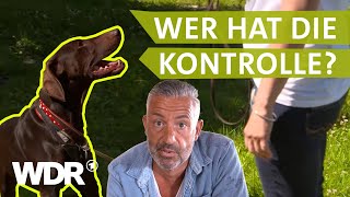 Endlich die Führung übernehmen  Hunde verstehen  S03E01  WDR [upl. by Petr141]