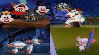 All Pinky and the Brain Intros 1993  2022 [upl. by Atiniv24]