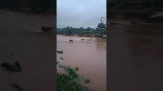 cheruvally bridge after flood [upl. by Oderfodog]