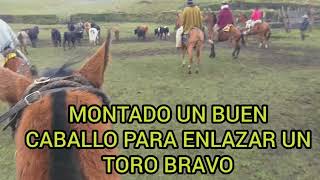 Dúo hermanos Cando El empresario  Video Oficial  Rodeo El Tambo 2020 [upl. by Ahsieka]