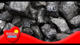 What is Coal  More Science on the Learning Videos Channel [upl. by Hospers440]