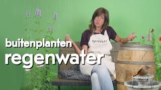 Buitenplanten  regenwater [upl. by Billen]