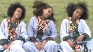 Mebre Mengistu  መብሬ መንግስቱ  Wollo lay yaleshiw  ወሎ ላይ ያለሽው [upl. by Ydaj]