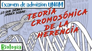 Teoría Cromosómica de la Herencia  Biología UNAM [upl. by Chessy666]