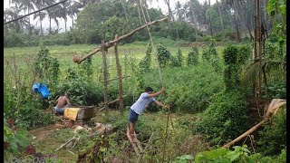 Laat or Shadoof water lifting irrigation [upl. by Enelrad681]