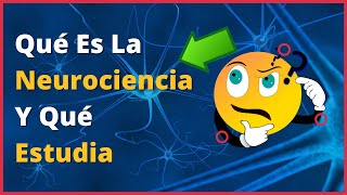 🤔 QUÉ es la NEUROCIENCIA y QUÉ ESTUDIA Neuroaprendizaje [upl. by Yelkao633]