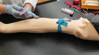 Phlebotomy Venipuncture Procedure [upl. by Wolbrom836]