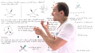 Introduction to Amino Acids [upl. by Dymoke]