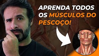 APRENDA TODOS OS MÚSCULOS DO PESCOÇO DE UMA VEZ POR TODAS [upl. by Enilada]