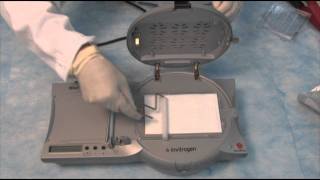 How to set up a Western part 3  The Blot Transfer using the iBlot® [upl. by Ramedlaw]