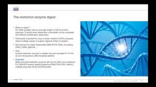 Digital PCR using QIAGENs QIacuity system an introduction [upl. by Akinor462]