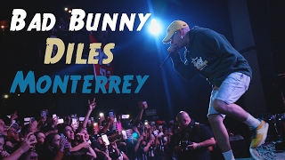 Bad Bunny  Diles  En Vivo Escena Monterrey 2017 [upl. by Cohla]