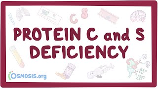 Protein C and S deficiency  causes symptoms diagnosis treatment pathology [upl. by Grider922]