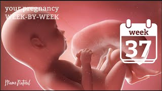 37 Weeks Pregnant  Natural Pregnancy WeekByWeek [upl. by Epoh]